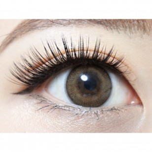 FLANMY Maple Chiffon 10片裝 FLANMY Maple Chiffon 10片裝